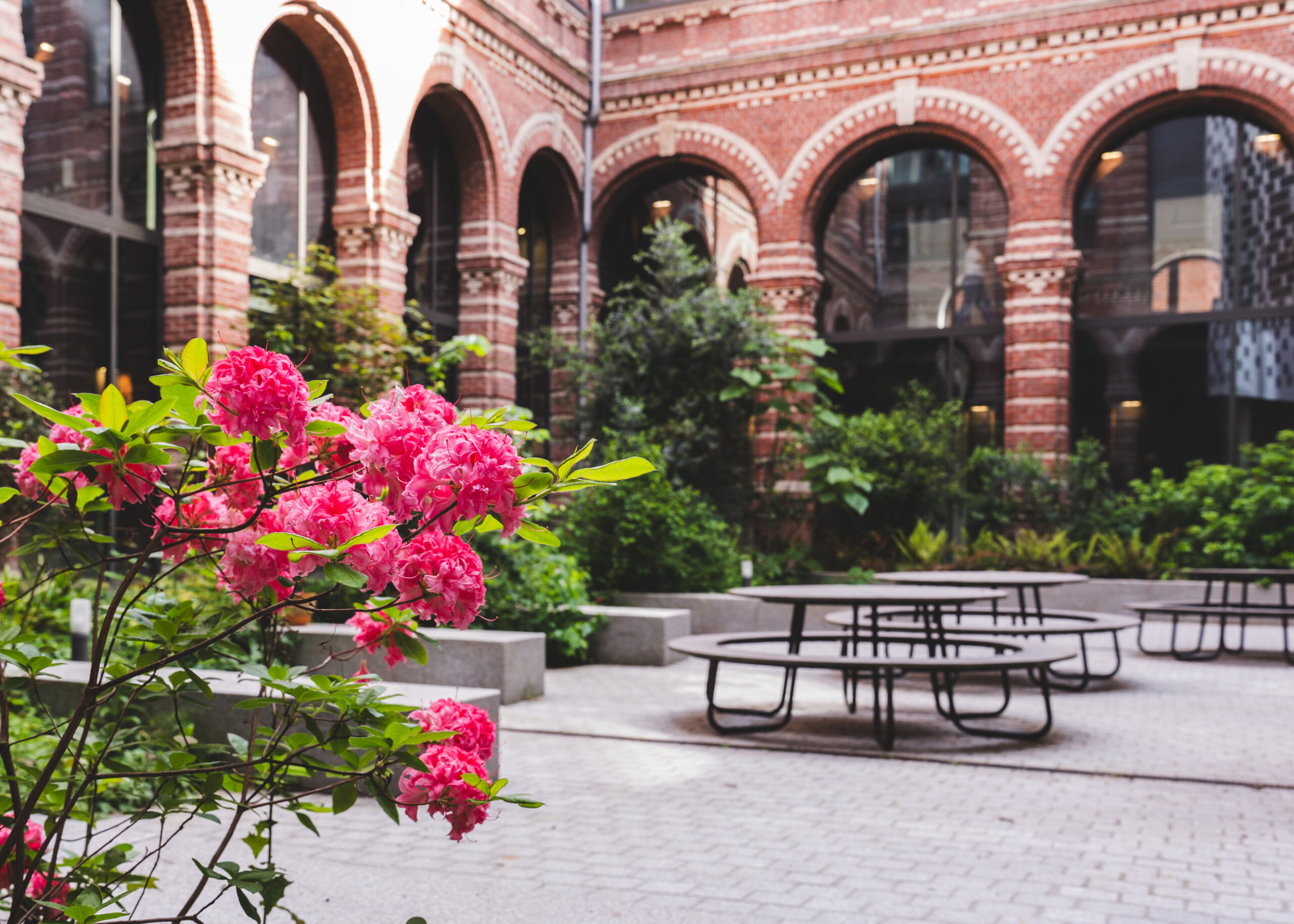 Patio de Sciences Po Lille